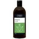 Champú de Aloe Vera para cabello seco 500 ml