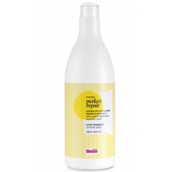 [G04000001] Champu Perfect Repair 1000 Ml