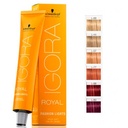 Igora Fashion Lights