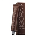 Igora Color 10 